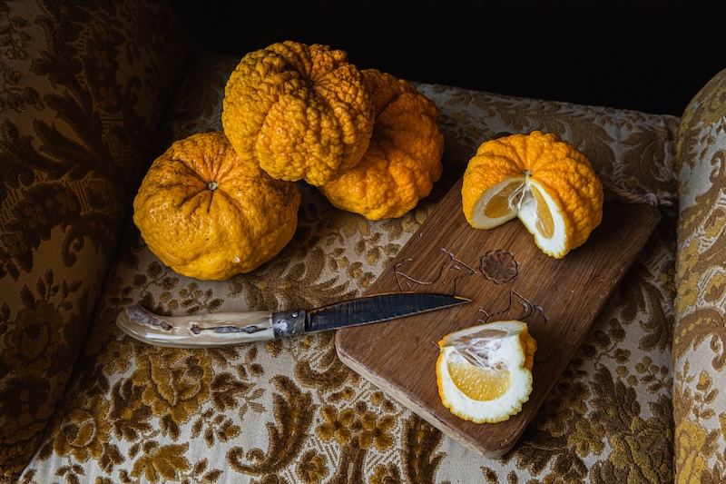 servizio fotografico food padova agrumi